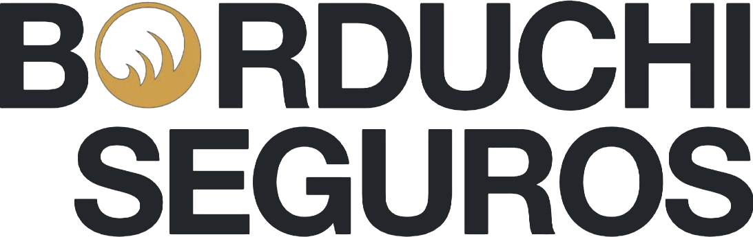 Borduchi Seguros